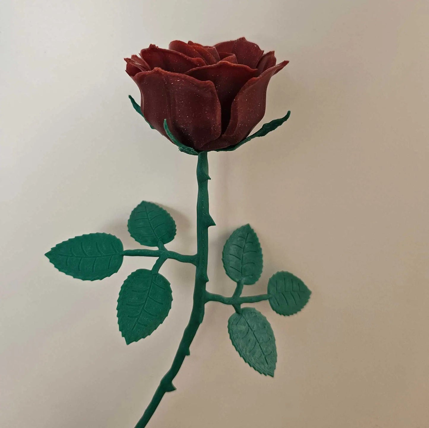 Everlasting Rose