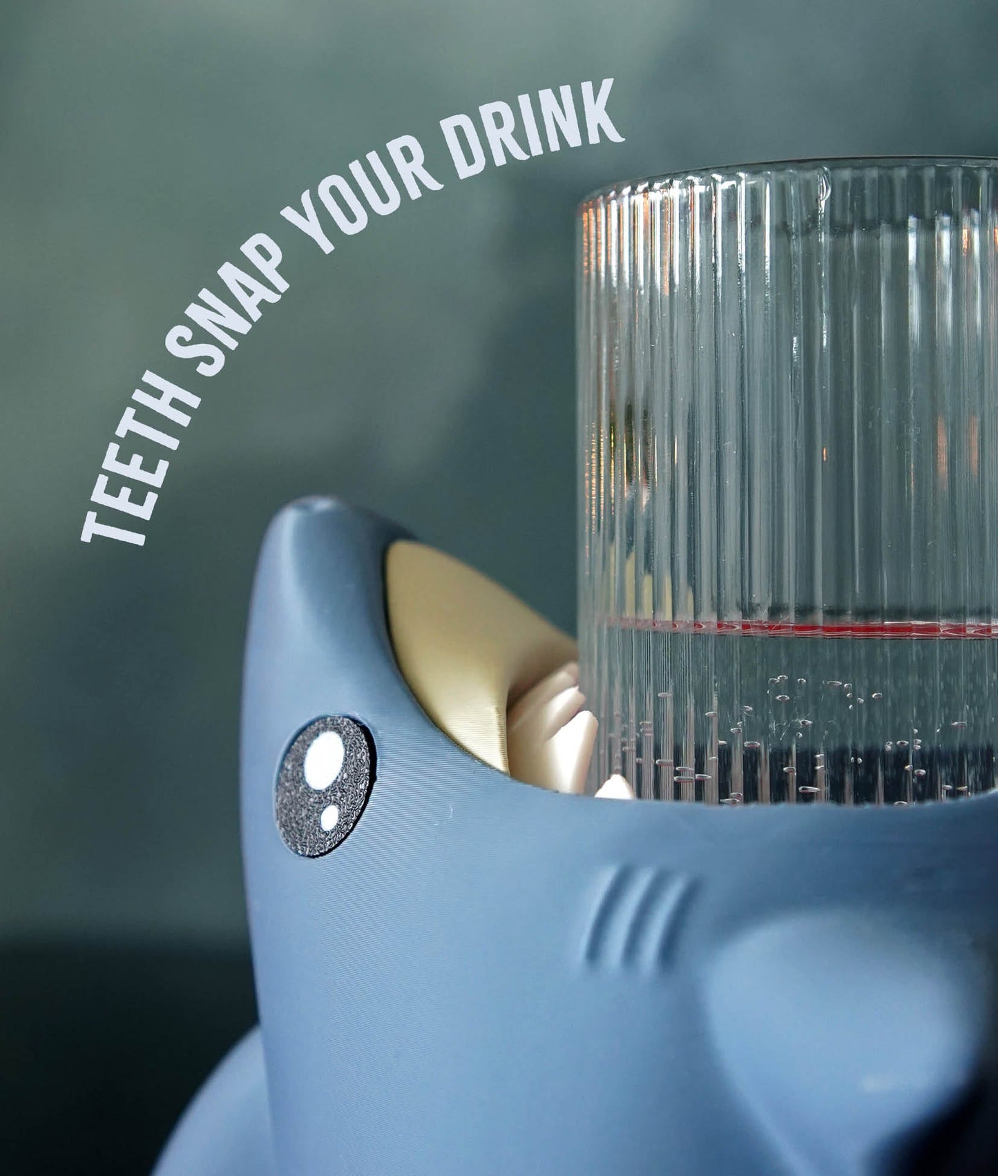 Stanley the Drink-Snapping Shark