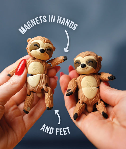 Sunny the Flexi Sloth