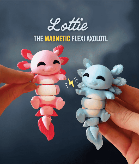 Lottie the Flexi Axolotl