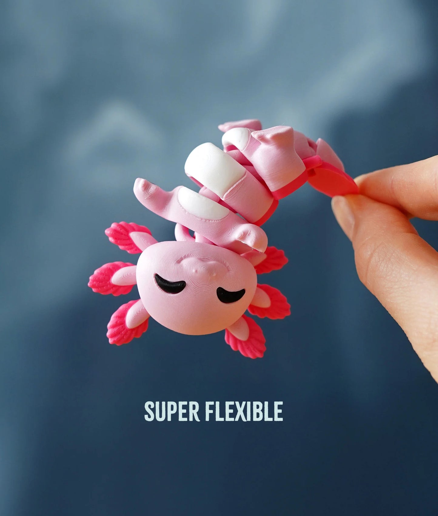 Lottie the Flexi Axolotl