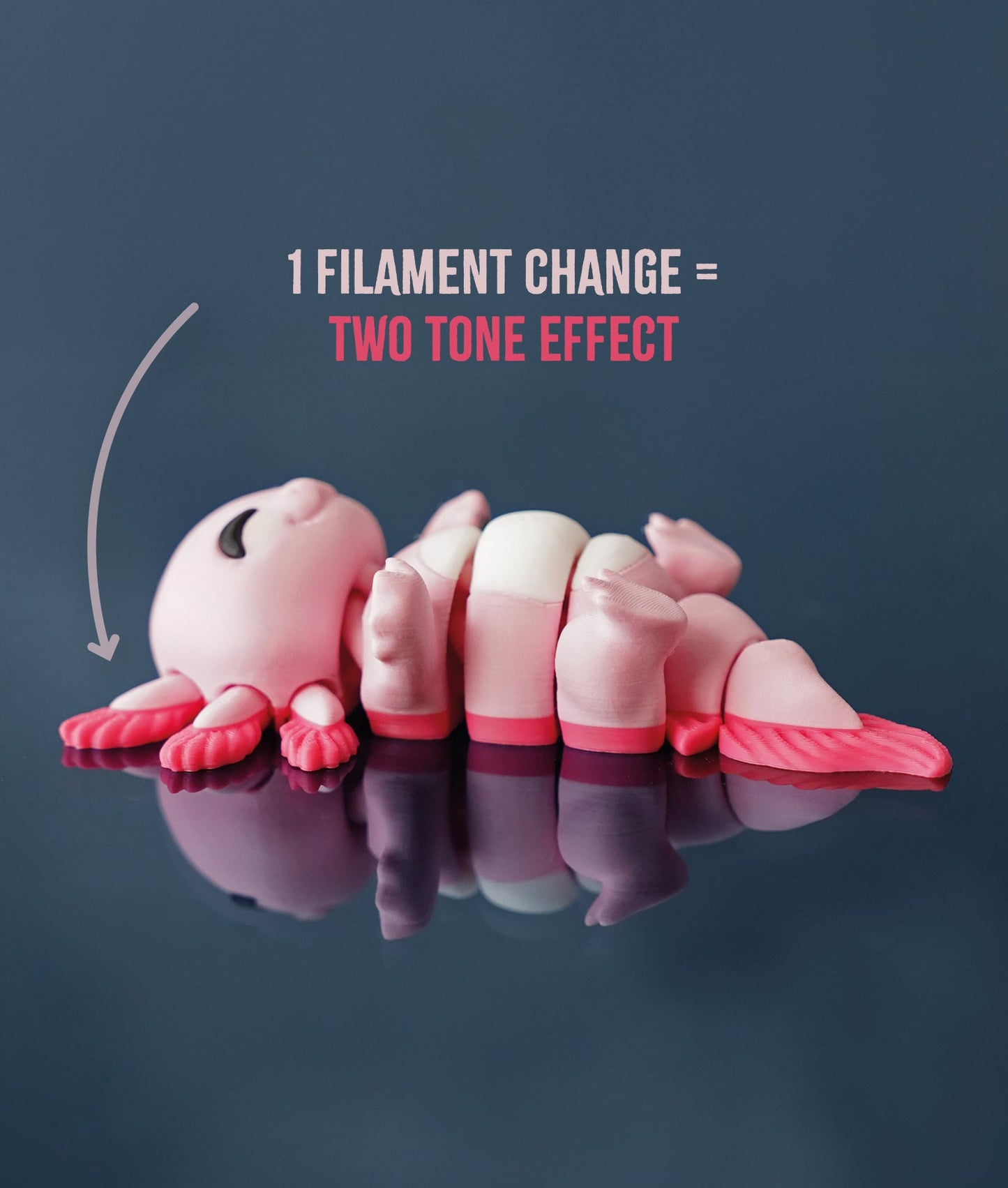 Lottie the Flexi Axolotl