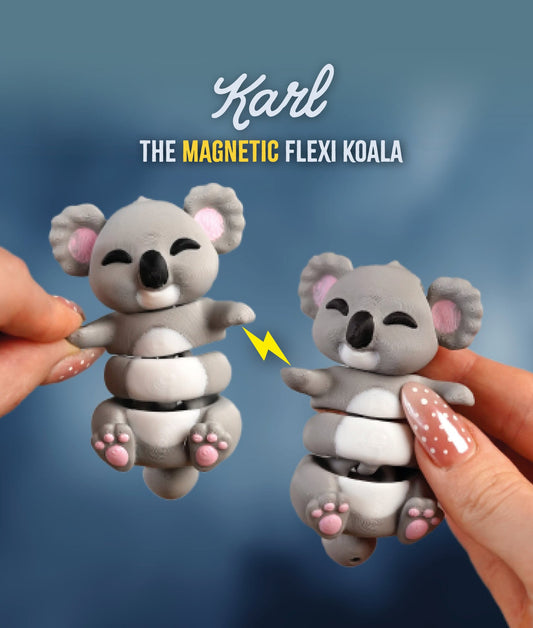 Karl the Flexi Koala