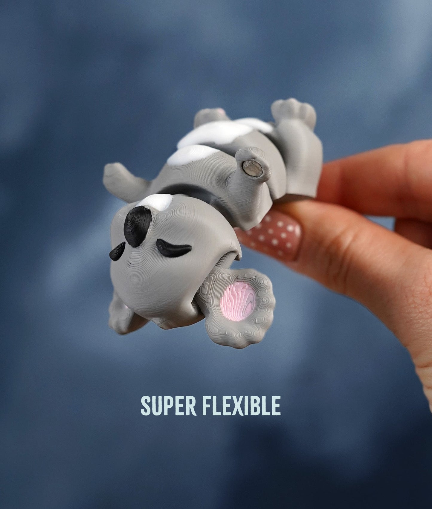 Karl the Flexi Koala