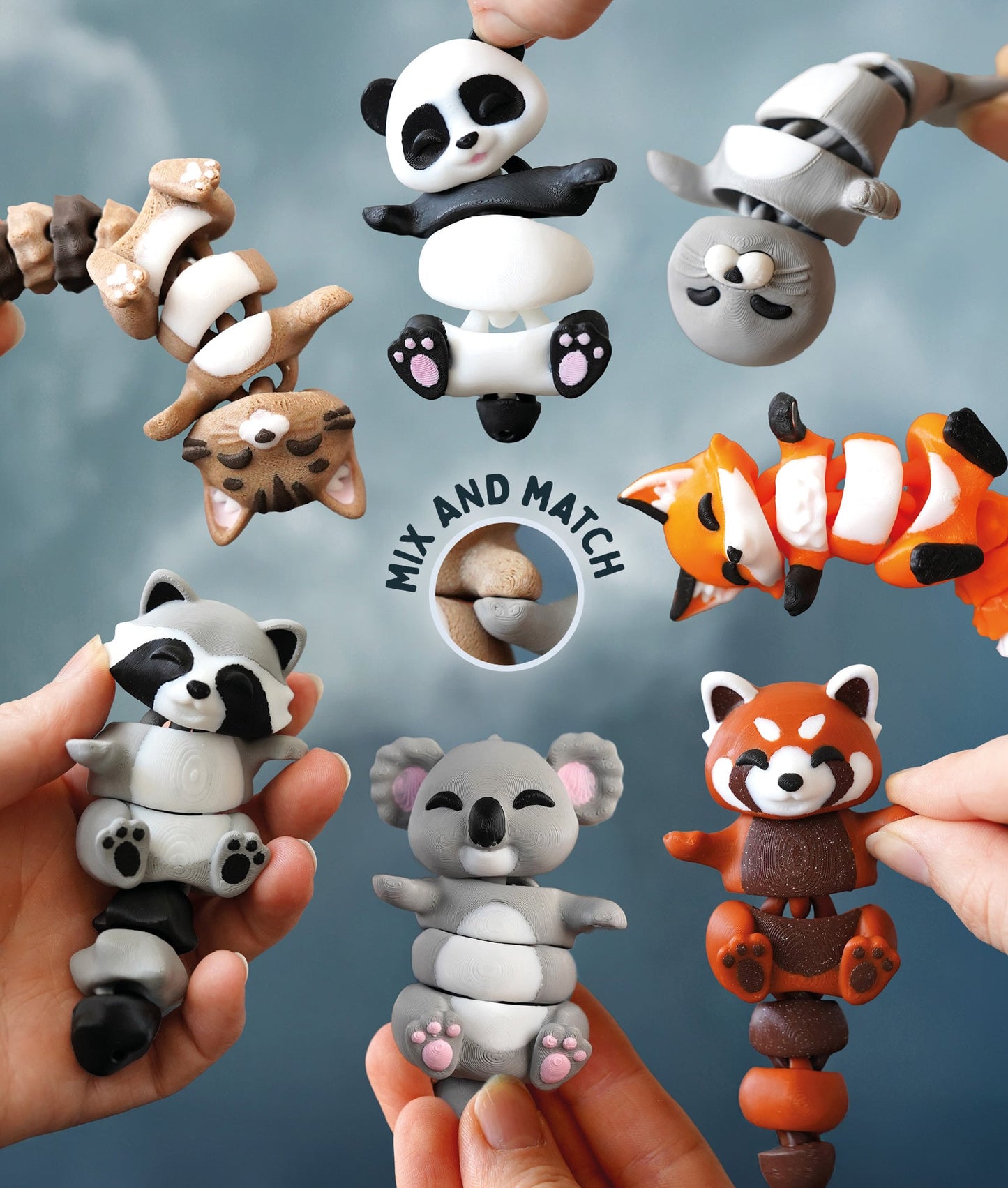 Karl the Flexi Koala