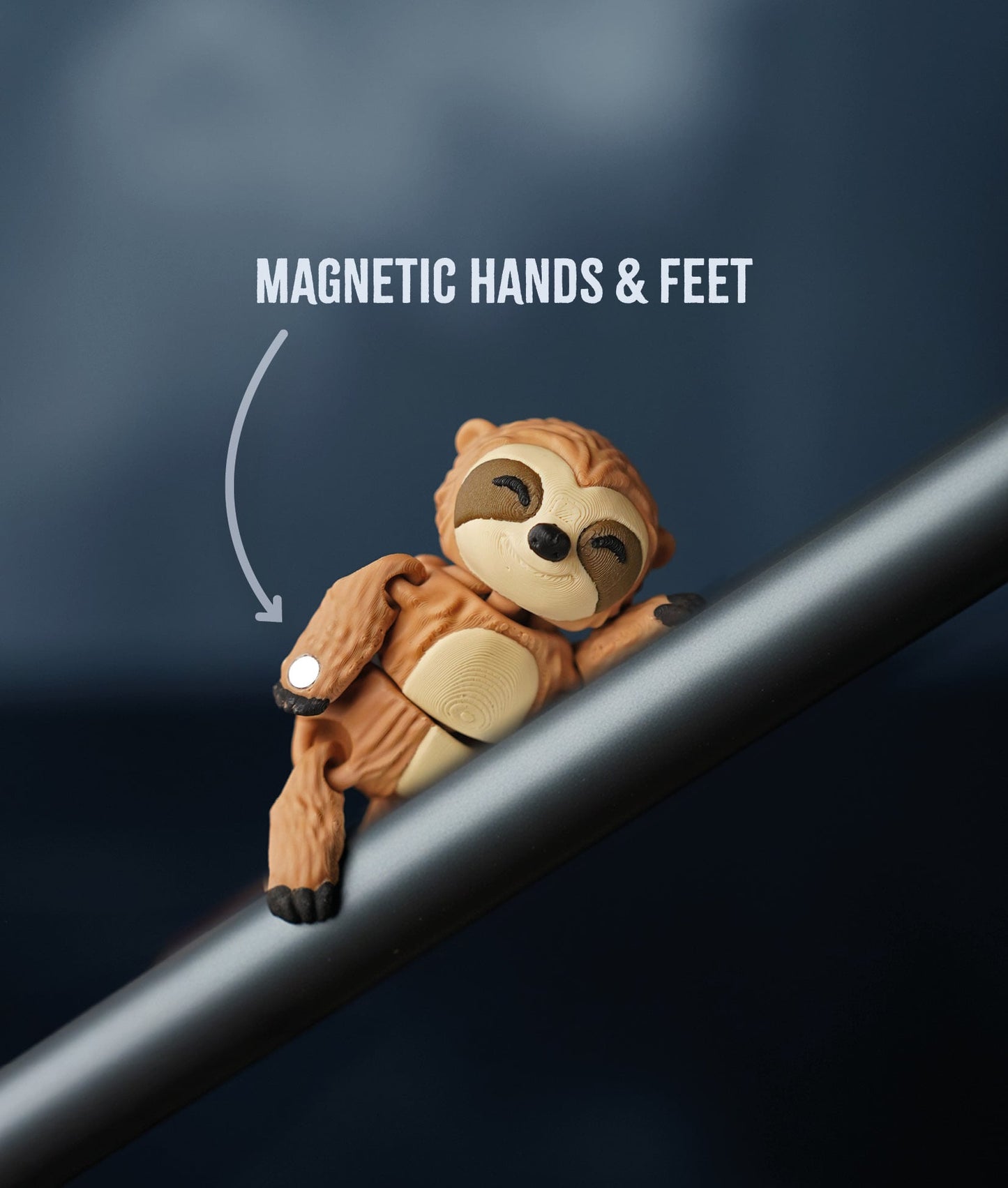 Sunny the Flexi Sloth