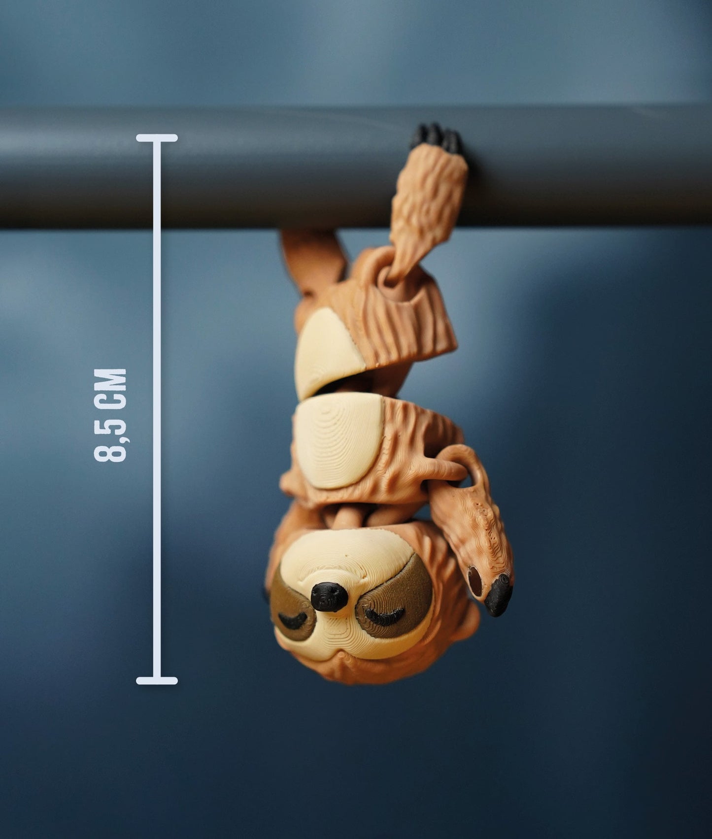 Sunny the Flexi Sloth