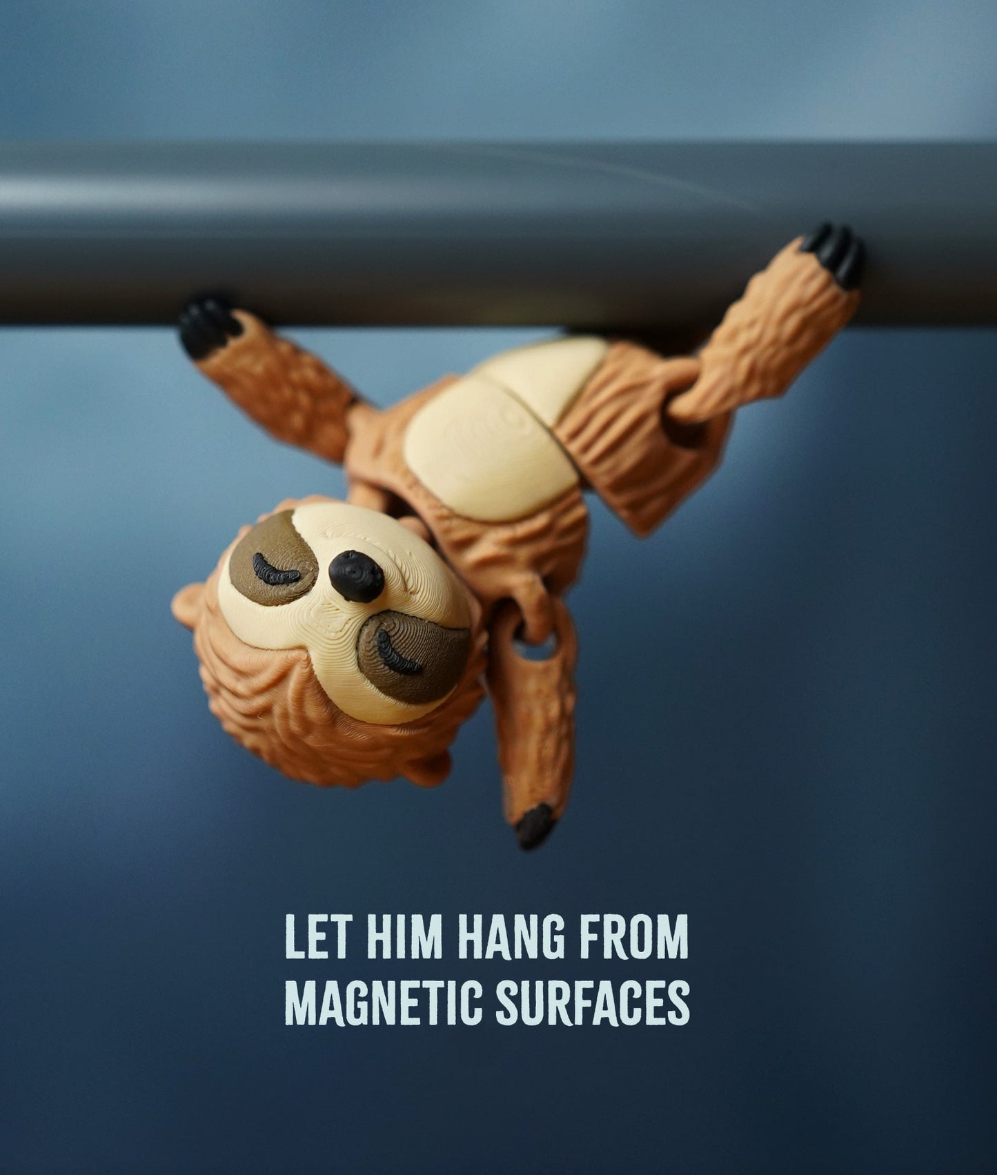 Sunny the Flexi Sloth