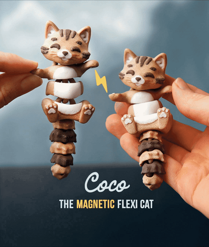 Coco the Flexi Cat