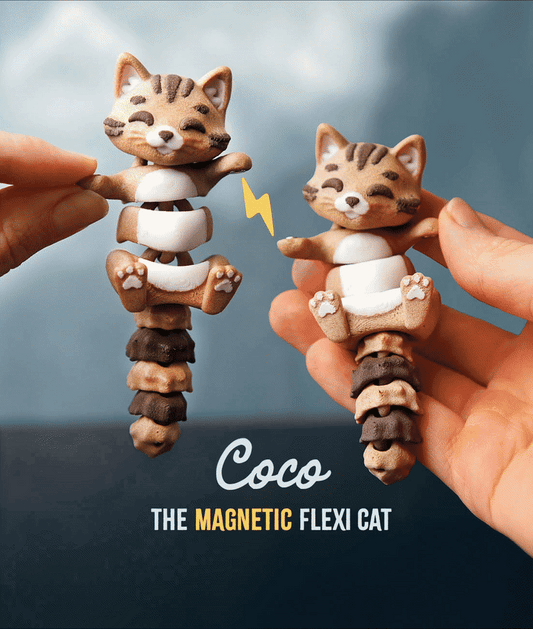 Coco the Flexi Cat